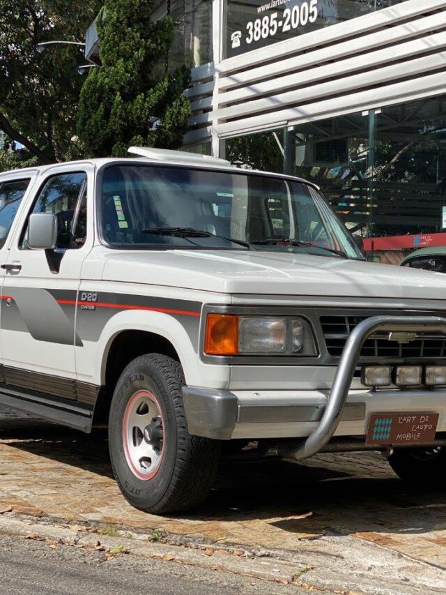 cropped-Picape-D20-De-Luxe-cabine-dupla-Turbo-Diesel-1995-2.jpg