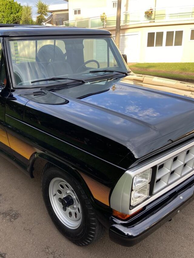 cropped-Ford-F-1000-1990-picapes-antigas-4.jpg