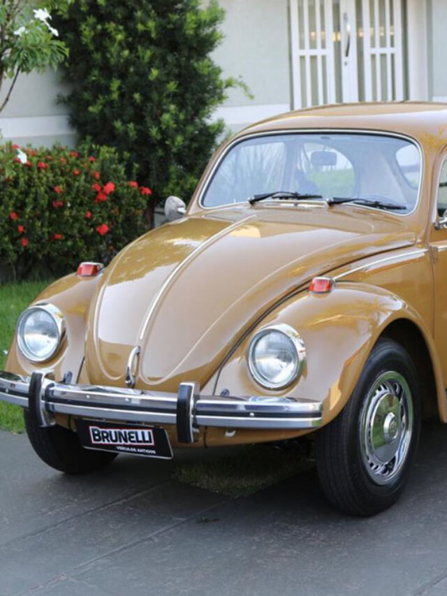 cropped-VW-Fusca-1300L-1976-carros-populares-antigos-6a.jpg