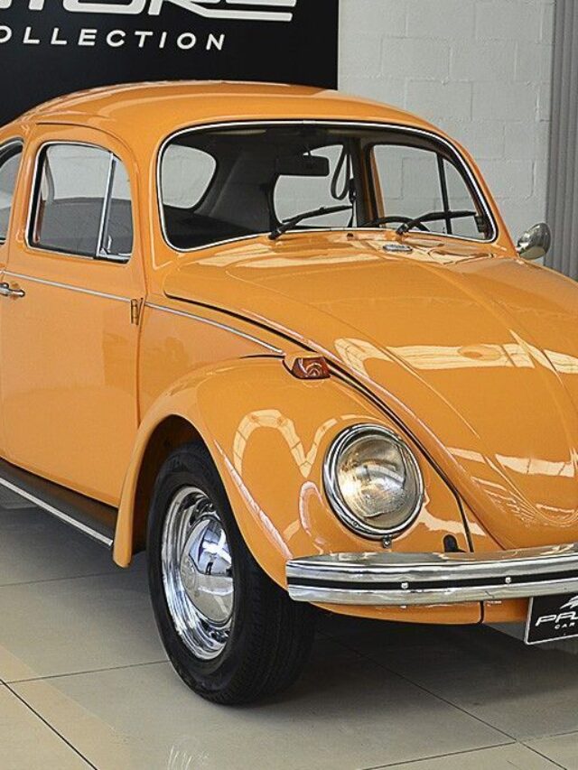 Volkswagen-Fusca-1300-1972-Motor-Tudo-17