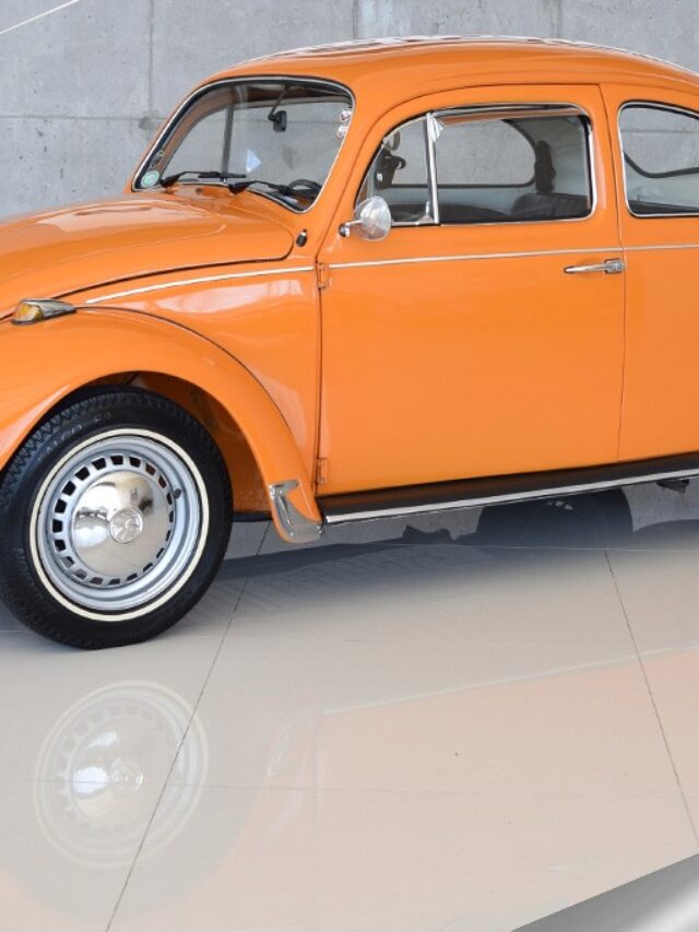 Volkswagen-Fusca-1300-1975-Motor-Tudo-19